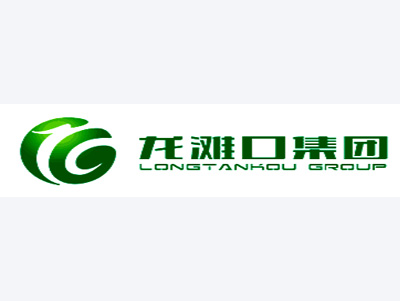 龍灘口集團案例