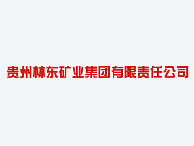 貴州林(lín)東(dōng)礦業(yè)集團有(yǒu)限責任公司案例
