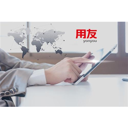 安順用(yòng)友(yǒu)軟件(jiàn)操作(zuò)技(jì)巧 使用(yòng)方法